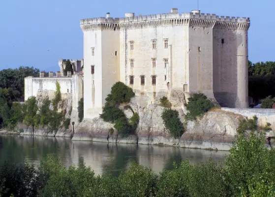 Château de Tarascon - 