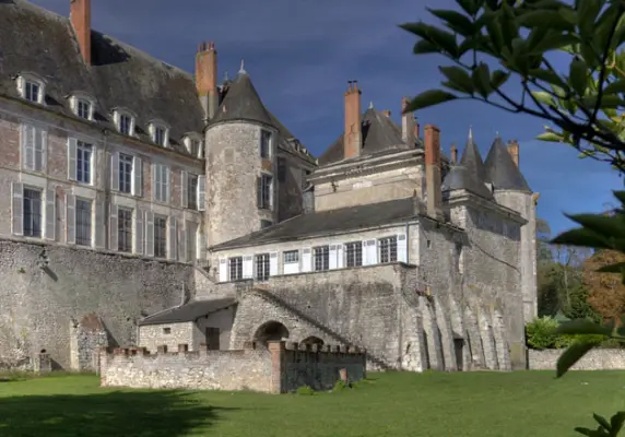 Château de Meung - Lieu de séminaire à Meung-sur-Loire (45)